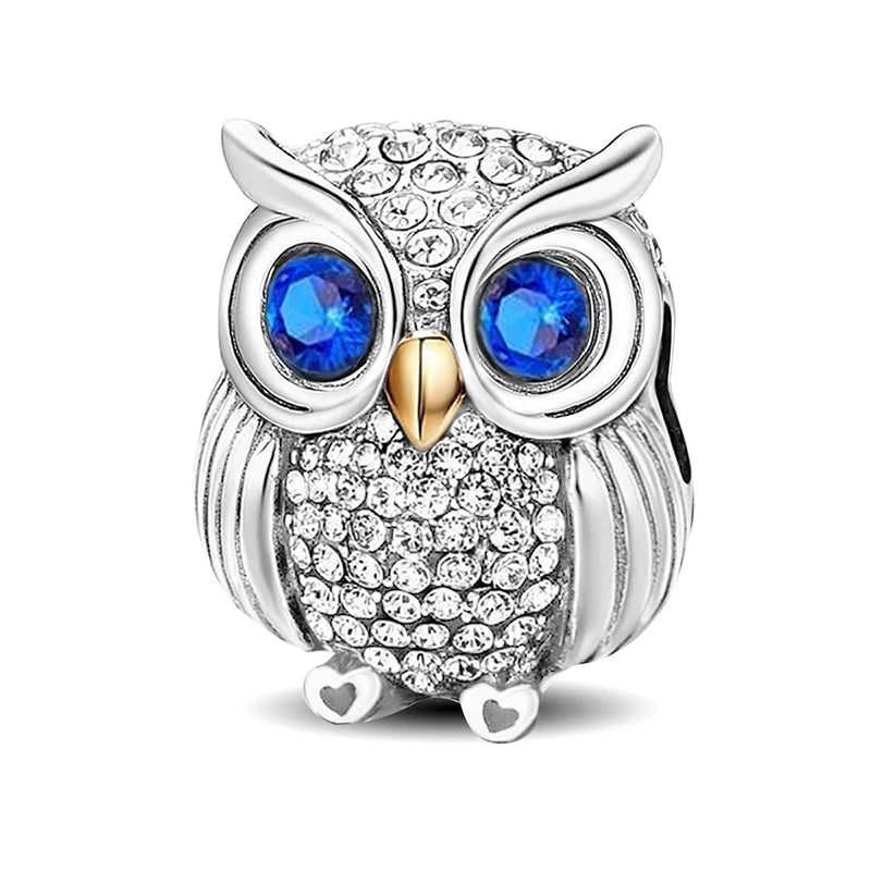 Elegant 925 Silver Charm